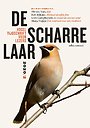De scharrelaar - 2020/2