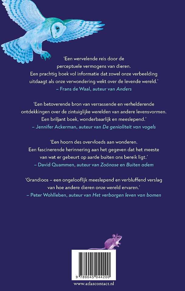 Een Immense wereld