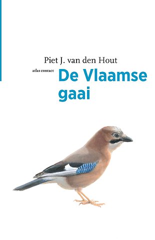 De Vlaamse gaai