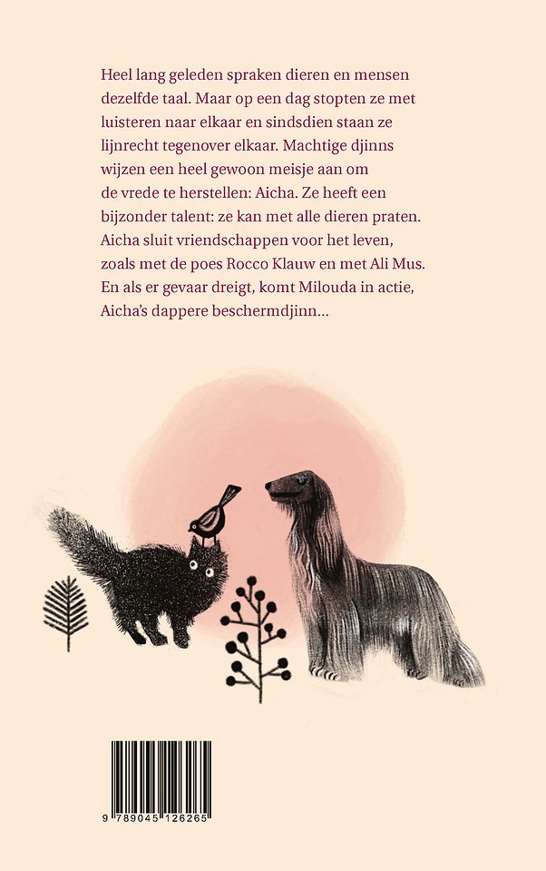 Aicha en de verloren taal