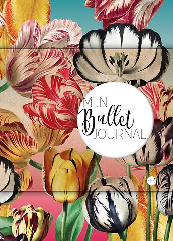 Mijn Bullet Journal