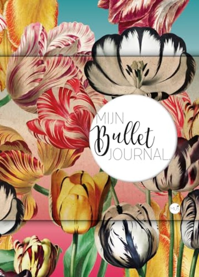 Mijn Bullet Journal