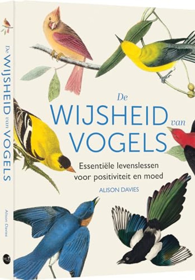De wijsheid van vogels