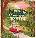 Het grote boek van onze bossen