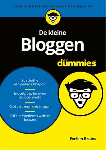 De kleine Bloggen voor Dummies