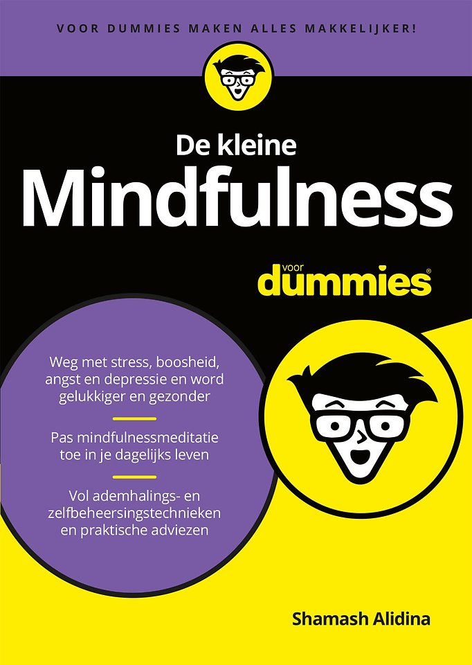 De kleine Mindfulness op het werk voor Dummies