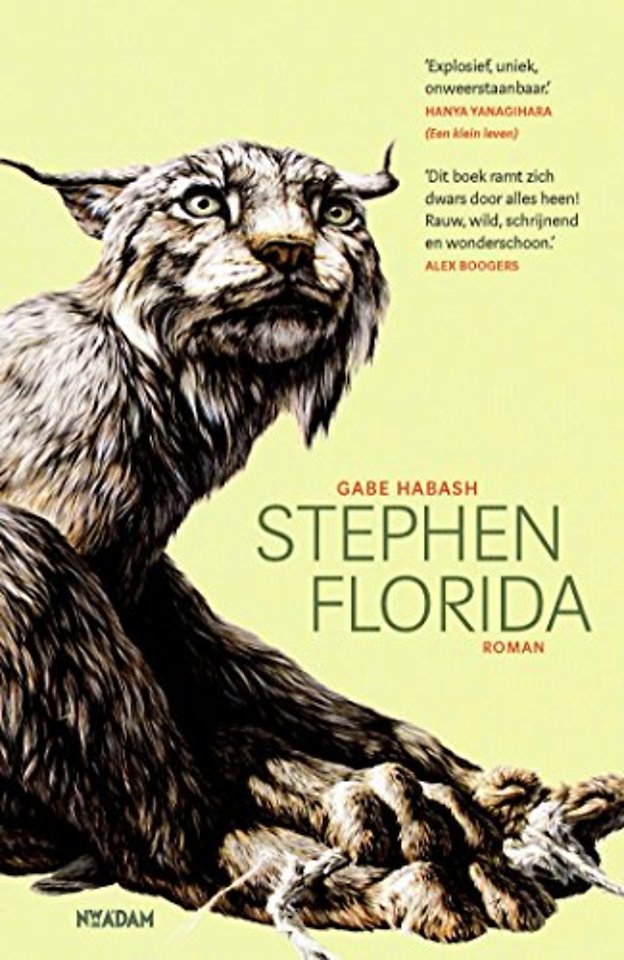 Stephen Florida