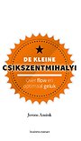 De kleine Csikszentmihalyi