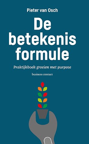 De betekenisformule