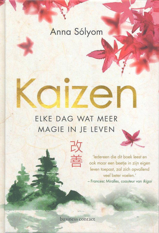 Kaizen Kaizen