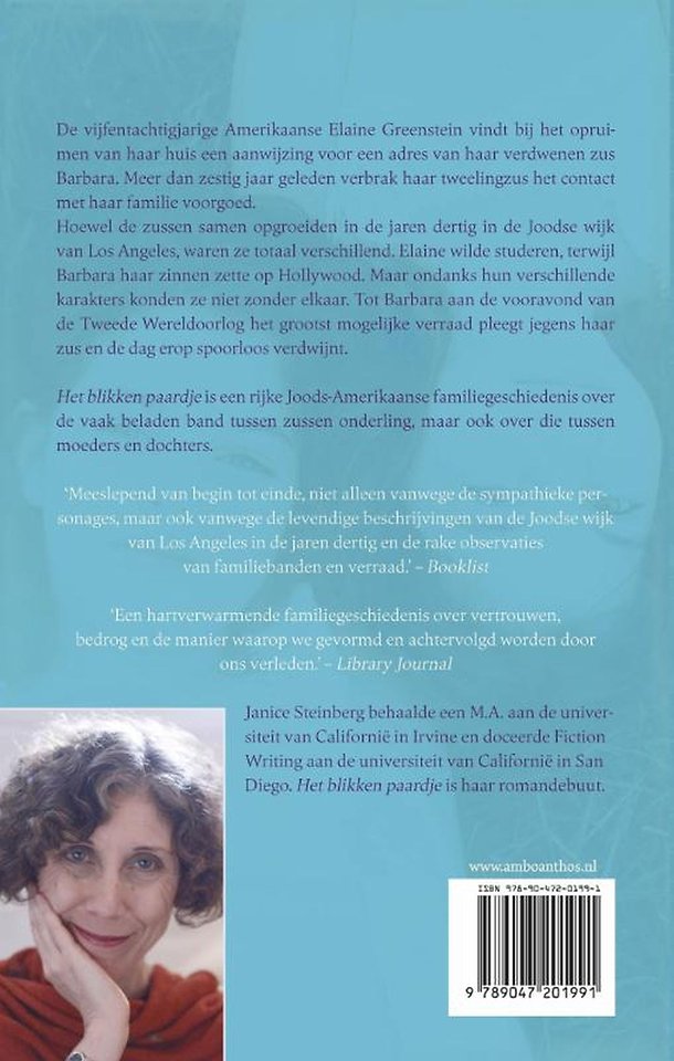 Het blikken paardje