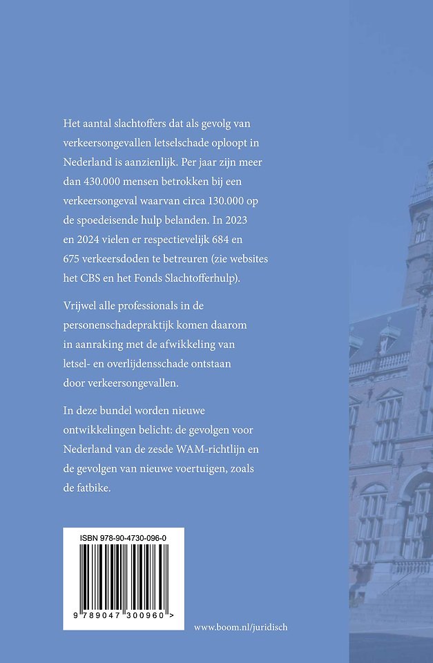 Aansprakelijkheid en verkeer: een blik op de weg