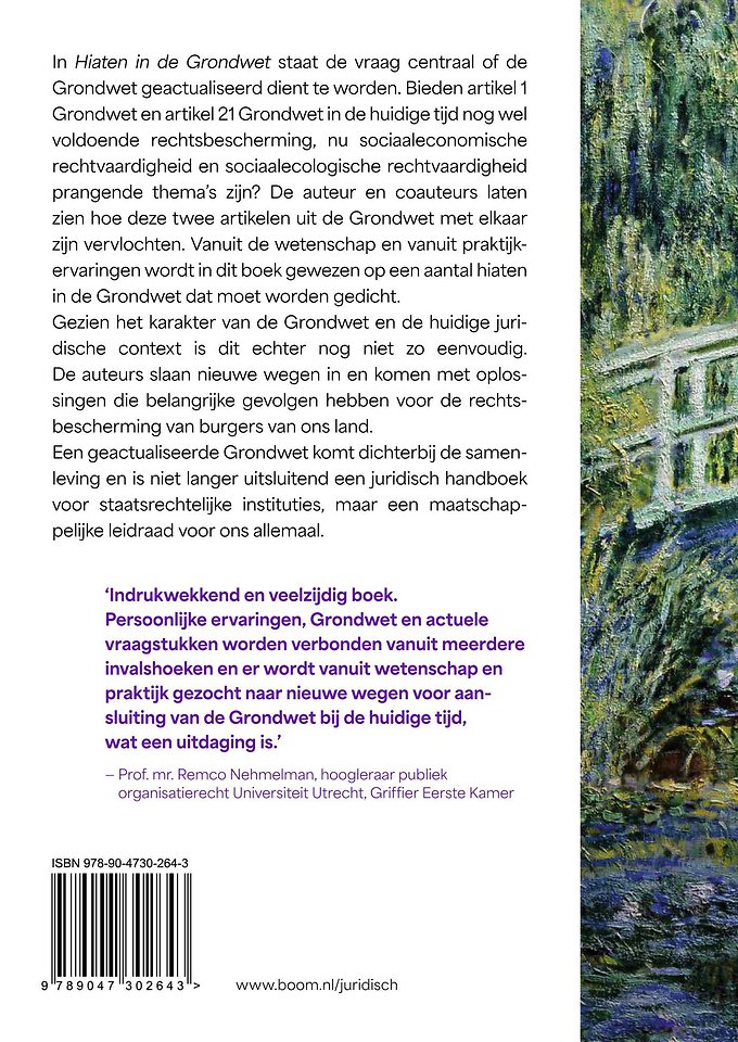 Hiaten in de Grondwet