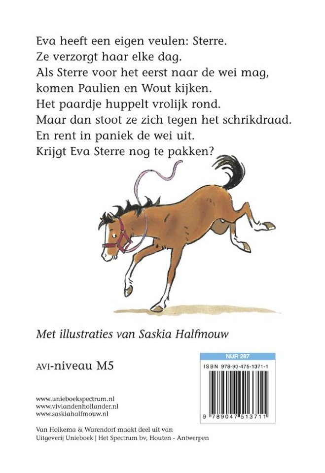 Een veulen op de Roskam