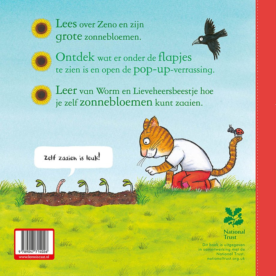 Zeno zaait een zonnebloem