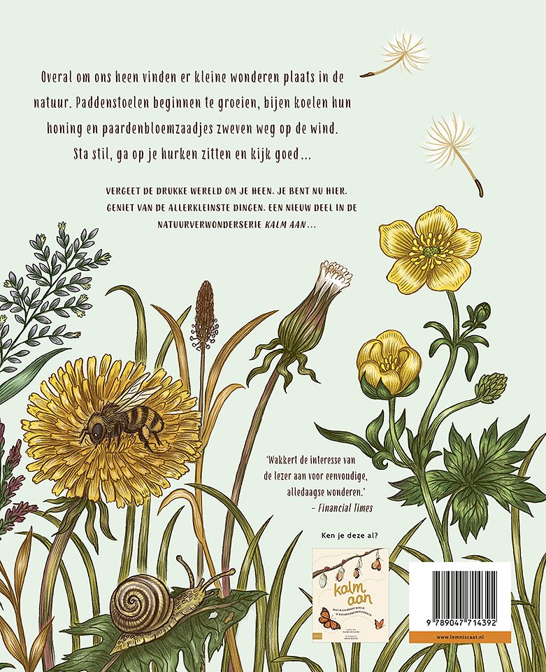 Kalm aan… Hier en nu