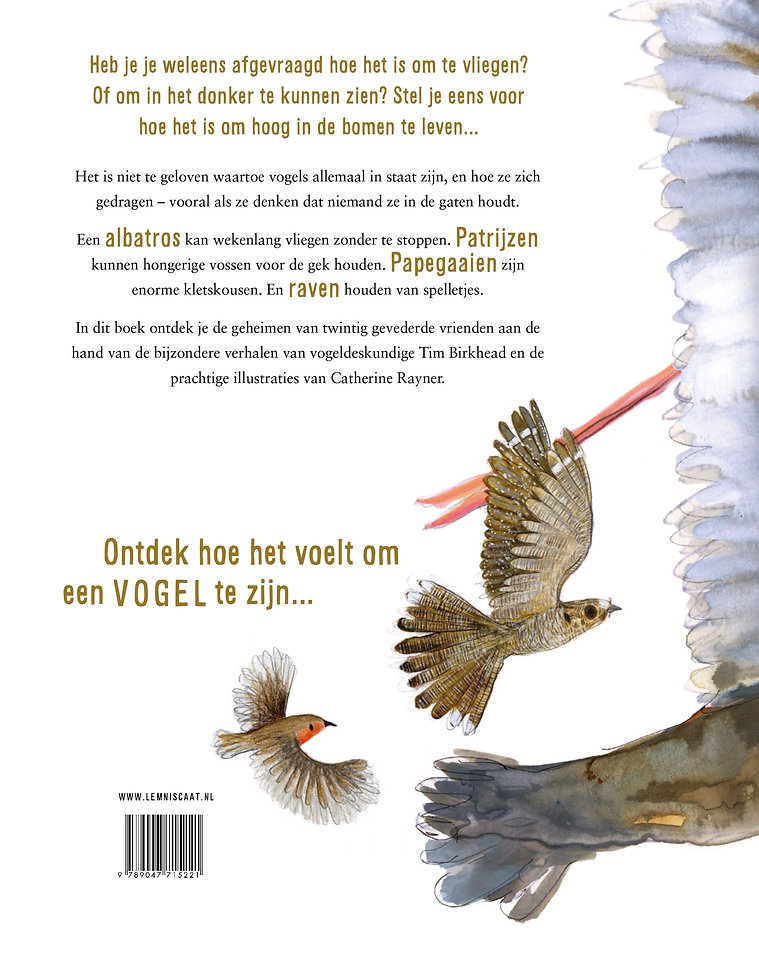 Zo voelt het om een vogel te zijn
