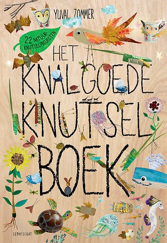 Het Knalgoede Knutselboek