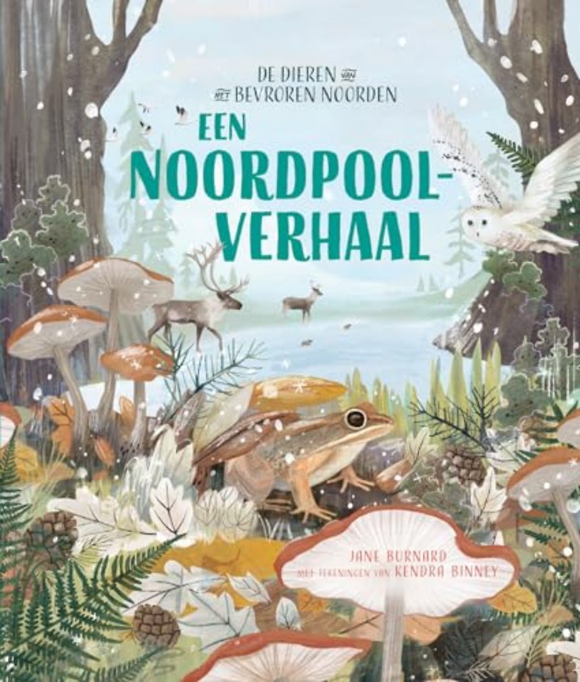 Een Noordpoolverhaal