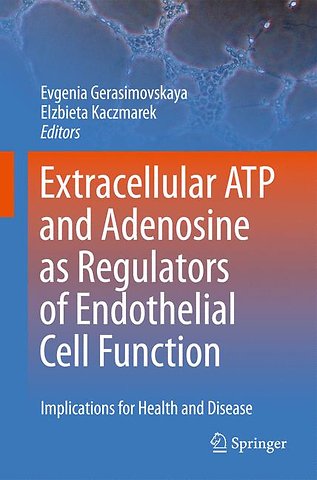 Extracellular ATP and adenosine as regulators of endothelial cell function