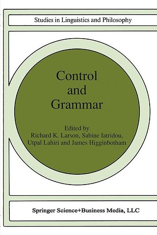 Control and Grammar