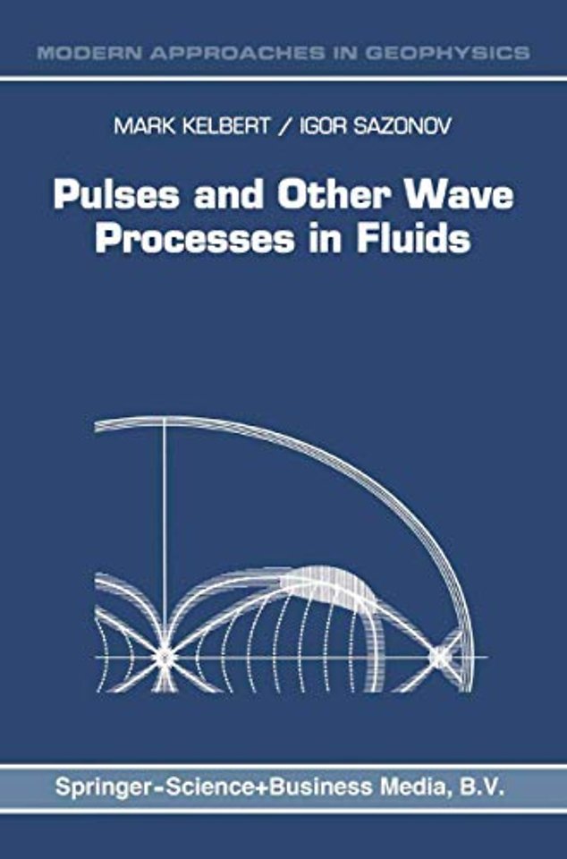 Pulses and Other Wave Processes in Fluids