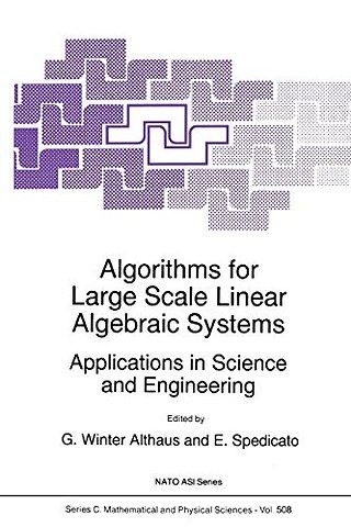Algorithms for Large Scale Linear Algebraic Systems: