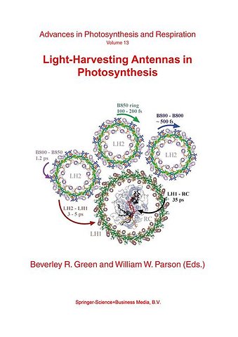 Light-Harvesting Antennas in Photosynthesis