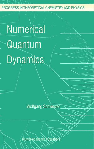 Numerical Quantum Dynamics