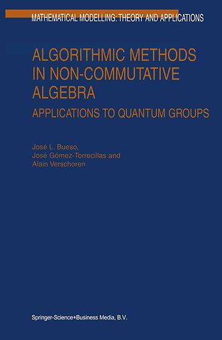 Algorithmic Methods in Non-Commutative Algebra