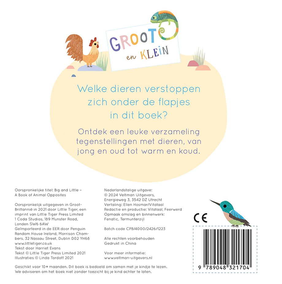 Groot en Klein, een boek vol tegenstellingen