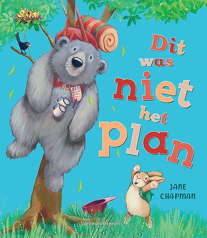 Dit was niet het plan