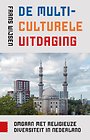 De multiculturele uitdaging