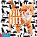 Kattenboek