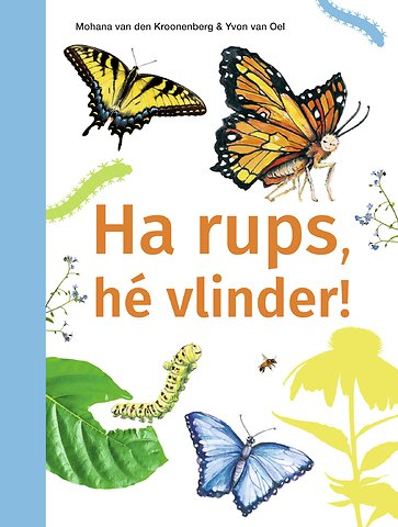 Ha rups, hé vlinder!