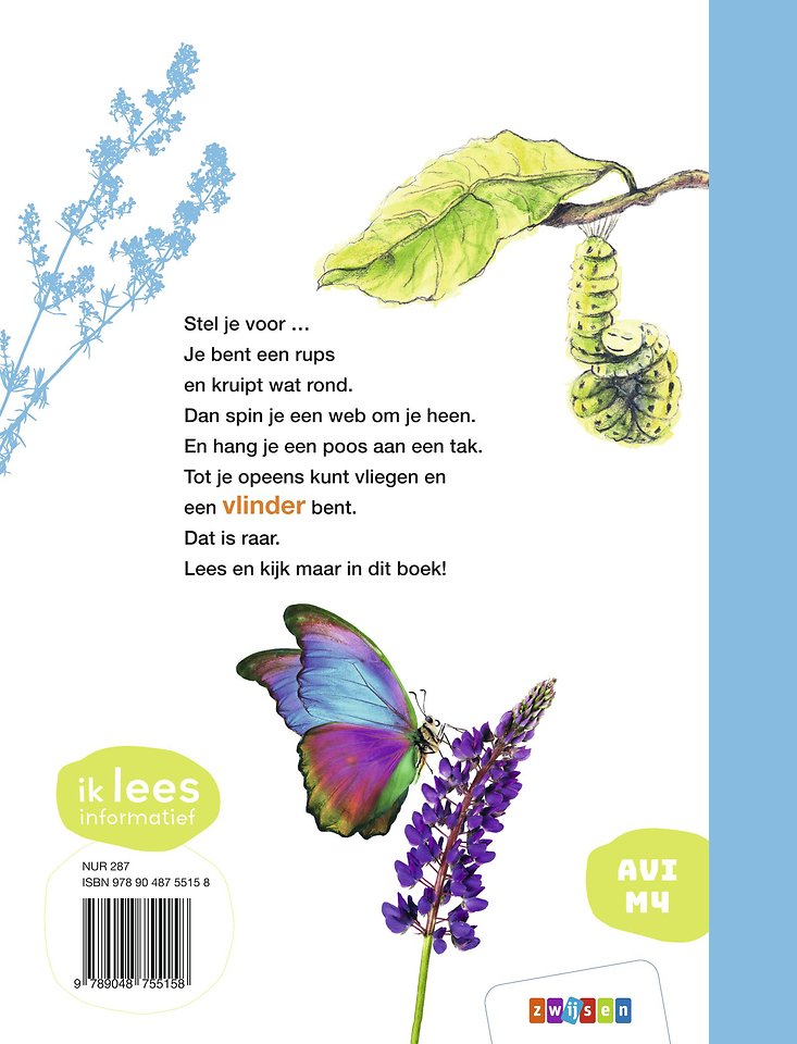 Ha rups, hé vlinder!