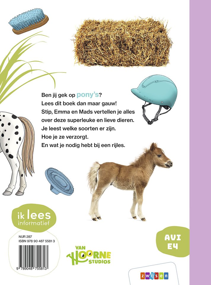Alles over de pony