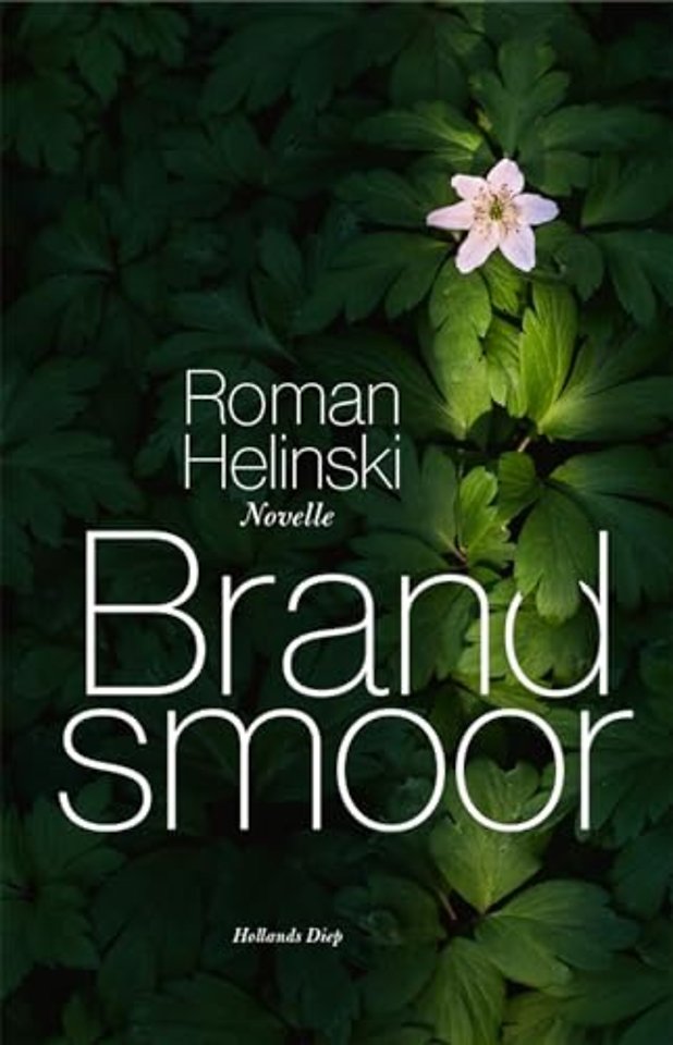 Brandsmoor