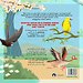 Het dikke vogelboek