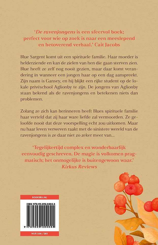De ravenjongens