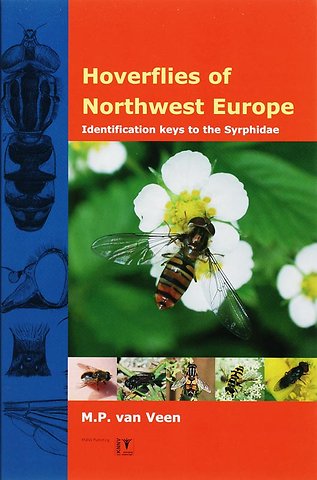 Hoverflies of Northwest Europe
