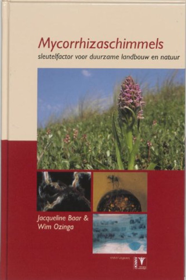 Mycorrhizaschimmels