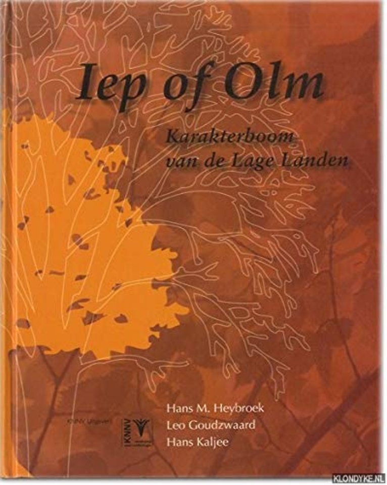 Iep of olm