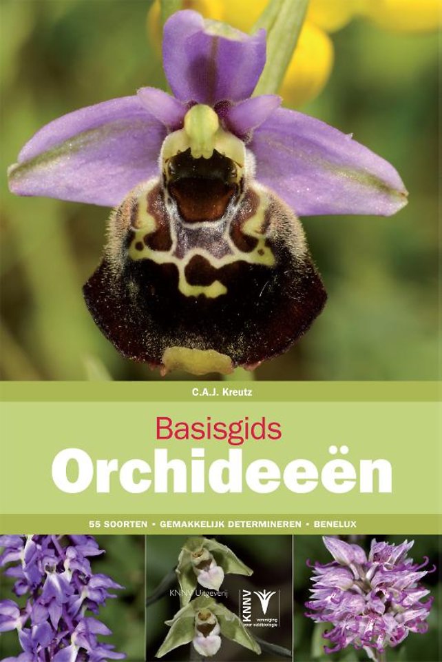 Basisgids orchideeën
