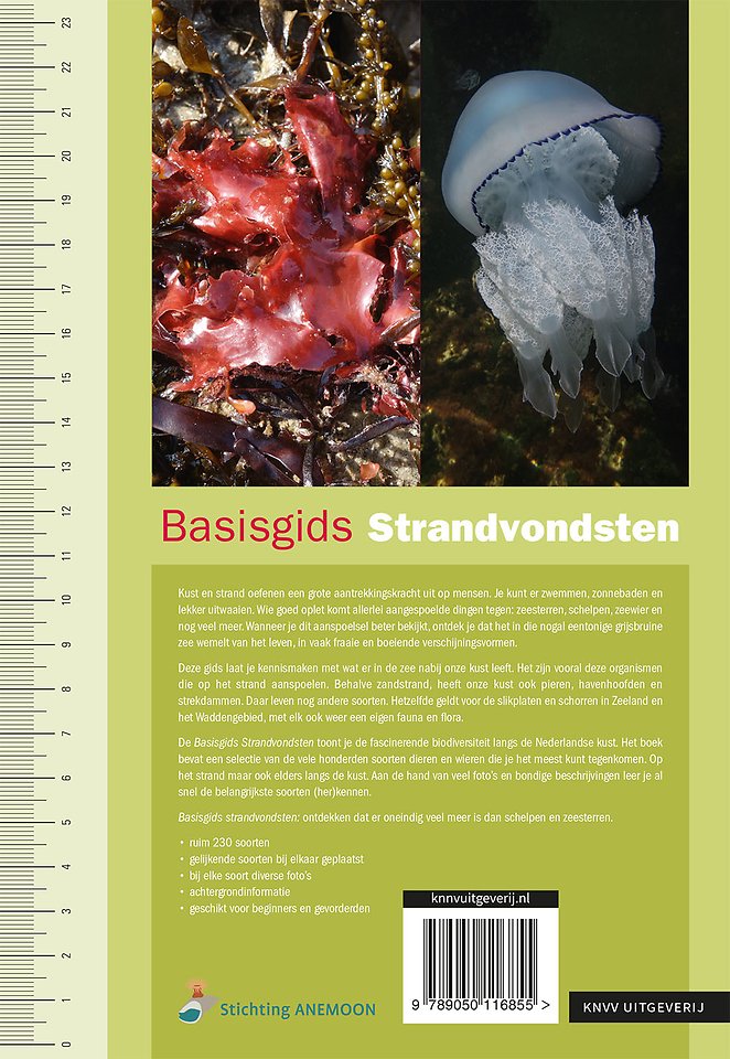 Basisgids Strandvondsten