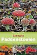 Basisgids Paddenstoelen