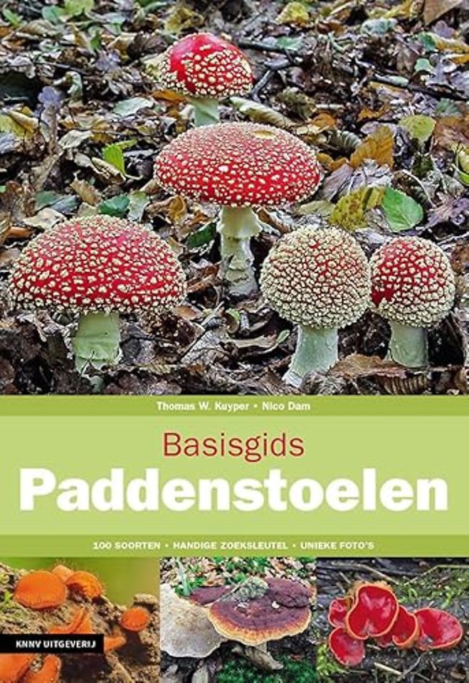 Basisgids Paddenstoelen