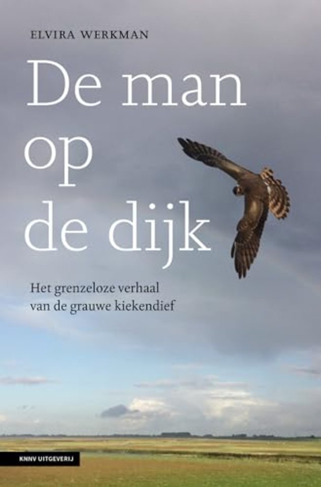 De man op de dijk