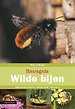 Basisgids wilde bijen