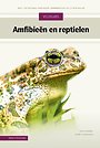 Amfibieën en reptielen